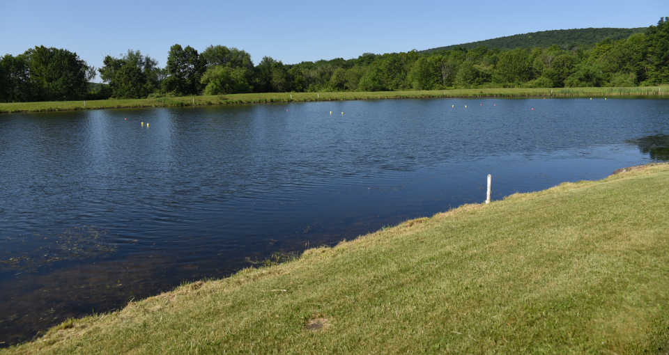 Lake is Ready